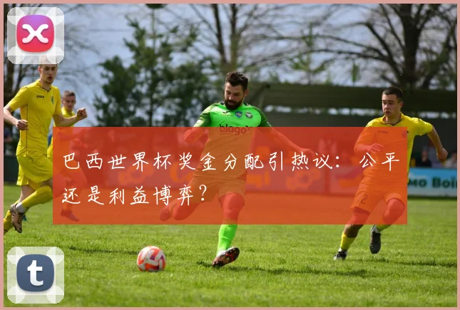 巴西世界杯奖金分配引热议：公平还是利益博弈？